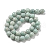 Natural Amazonite Beads Strands G-L618-A01-10mm-3