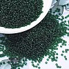 MIYUKI Round Rocailles Beads X-SEED-G007-RR0156-1