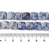 Natural Blue Spot Jasper Beads Strands G-K359-B19-01-5