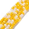 Glass Beads Strands EGLA-A034-M6mm-21-1