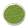 Glass Beads GLAA-D300-01D-1
