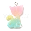 Translucent Resin Pendants RESI-G069-03C-2