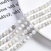Natural White Moonstone Beads Strands G-N328-51A-01-1