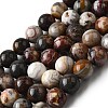 Natural Mexico Crazy Agate Beads Strands G-L615-A01-04-3