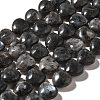 Natural Larvikite Beads Strands G-R190-10mm-55-2