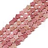 Natural Rhodonite Beads Strands G-B138-C11-01-2