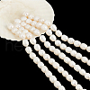  5 Strands Natural Cultured Freshwater Pearl Beads Strands PEAR-NB0002-60-7