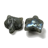 Natural Labradorite Pendants G-M417-07B-2