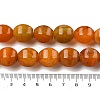 Dyed Natural Agate Beads Strands G-H087-E01-01C-5
