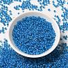 8/0 Transparent Glass Seed Beads SEED-F003-03B-02-2