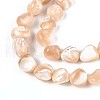 Natural Trochid Shell/Trochus Shell Beads Strands SSHEL-N040-13-3