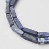 Natural Sodalite Beads Strands X-G-G968-D02-3