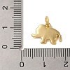 Rack Plating Brass Enamel Charms KK-L220-024G-02-3