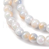 Pearlized Handmade Lampwork Beads Strands LAMP-R020-04C-3