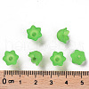 Transparent Acrylic Beads Caps X-PL543-9-4