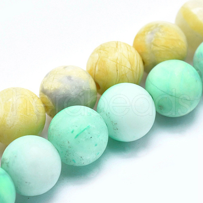 Natural Howlite Bead Strands G-I224-04-8mm-1