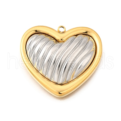 304 Stainless Steel Pendants STAS-M123-03I-PG02-1