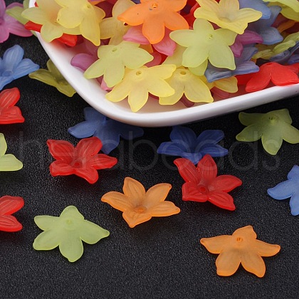 Transparent Acrylic Beads PL594-1