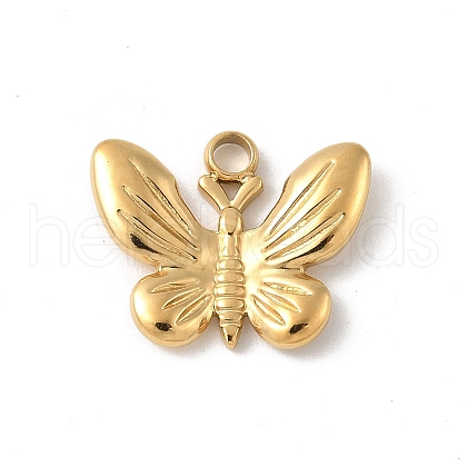304 Stainless Steel Charms STAS-P388-17G-1