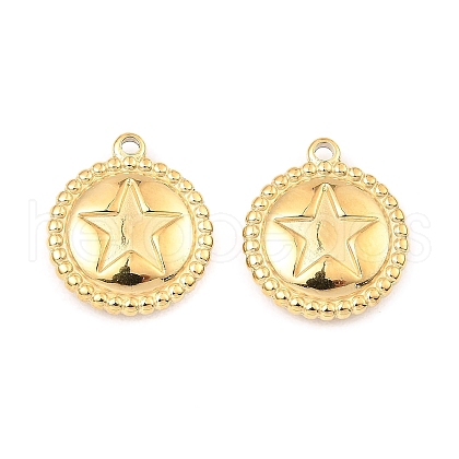 304 Stainless Steel Pendants STAS-A089-30G-1