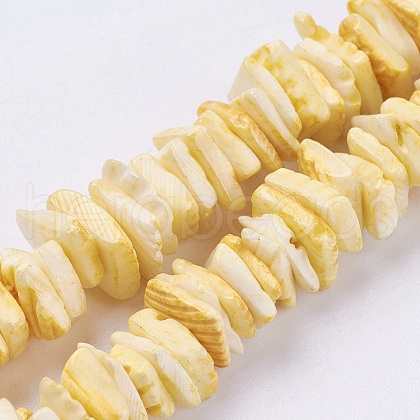 Natural Sea Shell Beads Strands X-BSHE-K012-08B-1