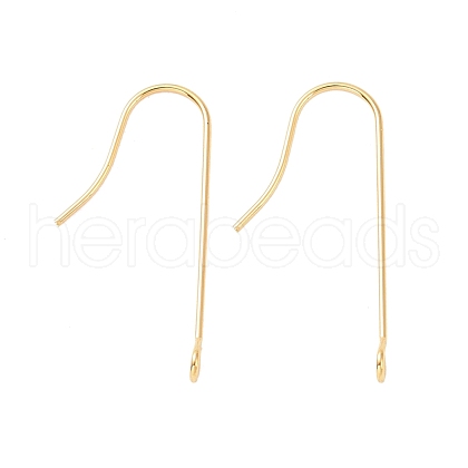 316 Surgical Stainless Steel Earring Hooks STAS-E027-01B-G-1