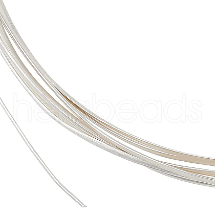 BENECREAT 1.5M Sterling Silver Wire STER-BC0001-56-1
