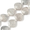 Natural Labradorite Beads Strands G-D316-A17-2