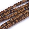 Natural Picture Jasper Beads Strands G-G783-10B-1