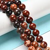 Natural Red Snakeskin Jasper Beads Strands G-H298-A02-04-2