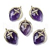 Natural Amethyst Pendants G-U019-01G-06-1