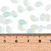 Frosted Glass Seed Beads SEED-N008-05F-4