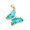 Glass Pendants X-GLAA-G075-01G-07-1