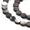 Natural Black Lip Shell Beads SHEL-M018-17-3