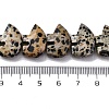 Natural Dalmatian Jasper Beads Strands G-F783-G06-01-3