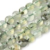 Natural Prehnite Beads Strands G-C179-A51-03-2