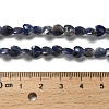 Natural Sodalite Beads Strands G-P575-C15-6mm-5