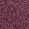 MIYUKI Delica Beads X-SEED-J020-DB0924-3