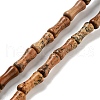Natural Picture Jasper Beads Strands G-Q178-A02-01-1