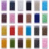 Glass Seed Beads SEED-PH0012-20-1