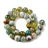 Natural Green Cherry Blossom Agate Beads Strands G-NH0061-A01-12mm-3