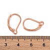 304 Stainless Steel Leverback Earring Findings STAS-K233-04RG-3