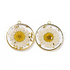Transparent Clear Epoxy Resin Pendants RESI-L036-12G-08-2