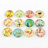 Half Round/Dome Bird Pattern Glass Flatback Cabochons for DIY Projects X-GGLA-Q037-25mm-M07-1