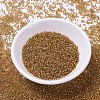MIYUKI Delica Beads SEED-X0054-DB1201-2