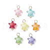Transparent Acrylic Pendants PALLOY-JF03839-02-1