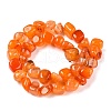 Natural Agate Beads Strands G-N342-65D-3