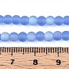 Frosted Transparent Glass Beads Strands GLAA-T032-T4mm-MBB04-4