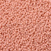 MIYUKI Round Rocailles Beads X-SEED-G007-RR4461-3
