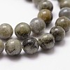 Natural Labradorite Bead Strands G-D840-64-12mm-3